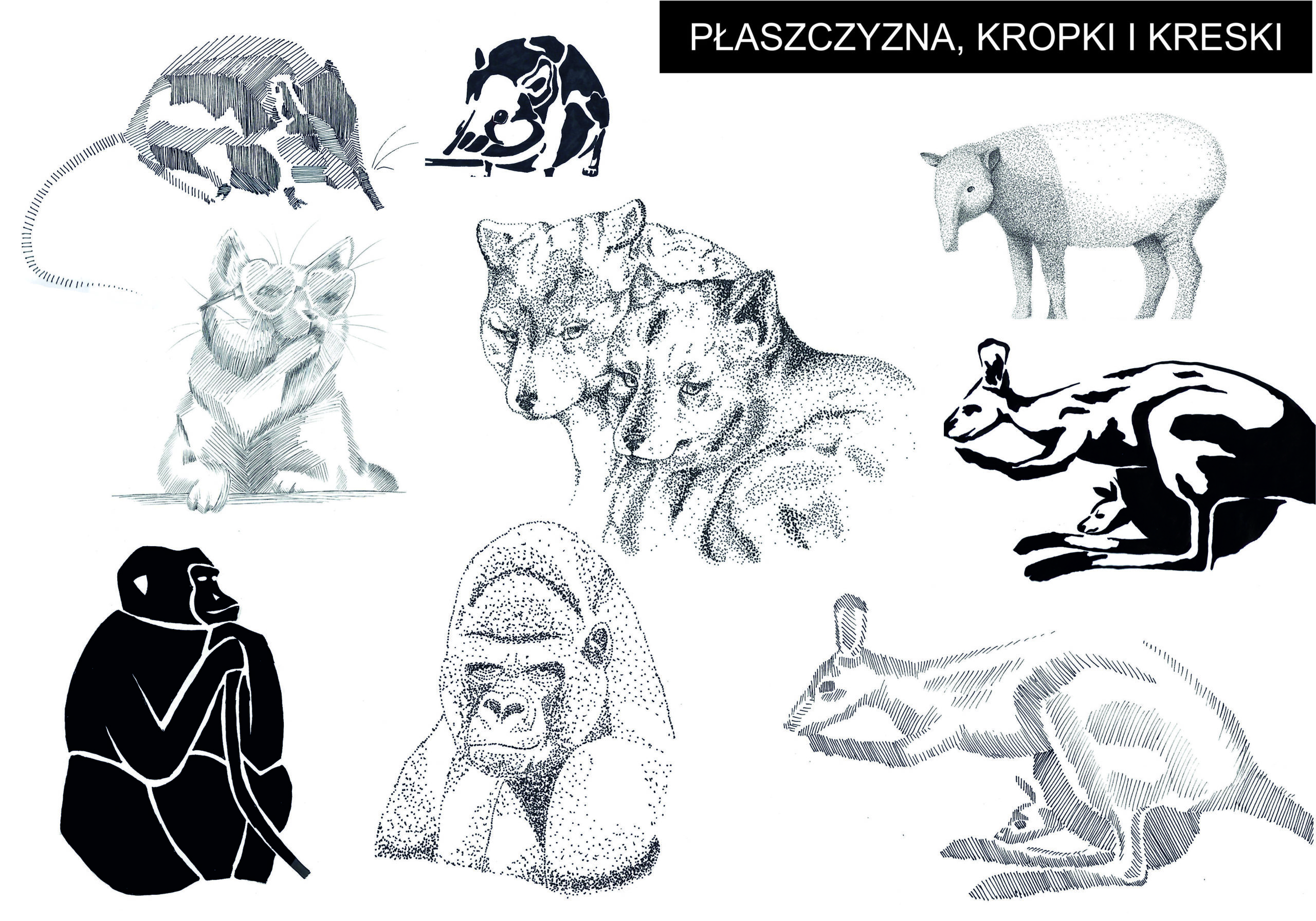 PLASZCZYZNA