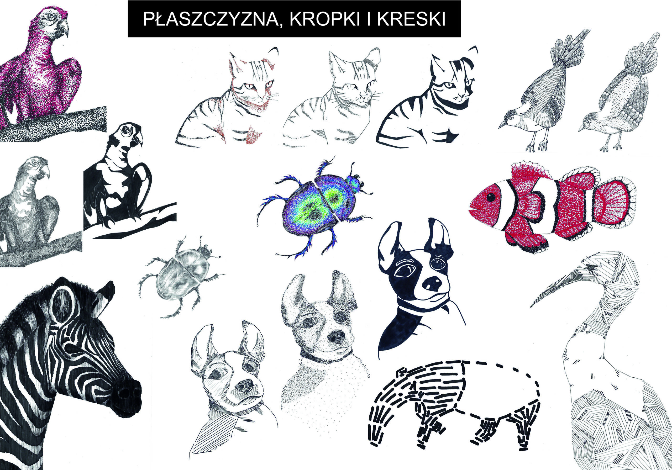 PLASZCZYZNA_kl_1